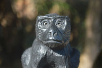 Polished Groovy Black Soap Stone Baboon Carving  x 1 From Zimbabwe - Toprock Gemstones and Minerals 