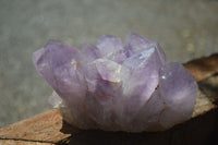 Natural Jacaranda Amethyst Clusters x 2 From Mumbwa, Zambia - TopRock