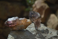 Natural Amethyst Crystals  x 6 From Chiredzi, Zimbabwe