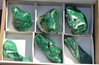 Polished Malachite Free Forms With Stunning Flower & Banding Patterns x 6 From Congo - TopRock