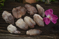 Natural Red Hematoid Quartz Specimens x 12 From Karoi, Zimbabwe - TopRock