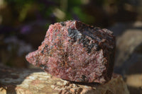 Natural Rough Red Rhodonite Specimens x 6 From Zimbabwe