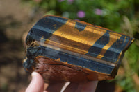 Natural Golden Blue Tigers Eye Specimens  x 2 From Prieska, South Africa - TopRock