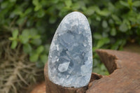 Polished Blue Celestite Standing Free Forms  x 2 From Sakoany, Madagascar - Toprock Gemstones and Minerals 