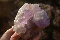 Natural Jacaranda Amethyst Clusters x 2 From Zambia