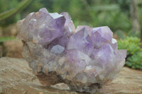 Natural Jacaranda Amethyst Cluster x 1 From Mumbwa, Zambia - TopRock