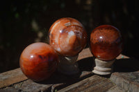 Polished Carnelian Agate Spheres  x 3 From Madagascar - Toprock Gemstones and Minerals 