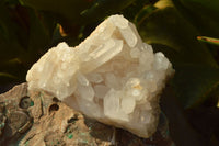 Natural High Selected Quartz Clusters With Intact Crystals  x 12 From Madagascar - TopRock