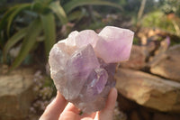 Natural Jacaranda Amethyst Clusters x 2 From Zambia