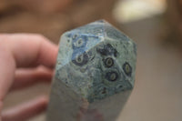 Polished Stromatolite / Kambamba Jasper Points  x 2 From Madagascar - TopRock