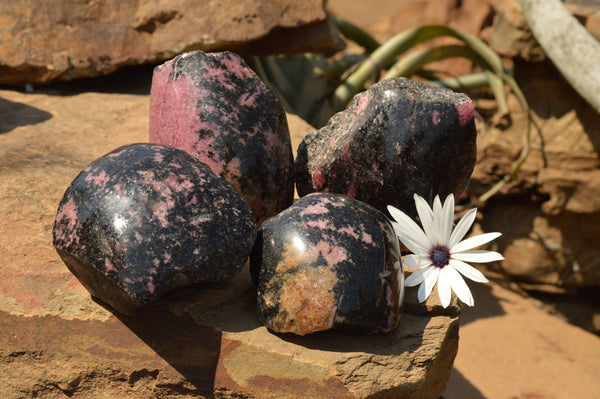 Polished One Side Polished Rhodonite Free Forms  x 4 From Madagascar - TopRock