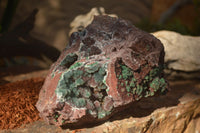 Natural Drusy Coated Ball Malachite On Dolomite Specimen x 1 From Southern Africa