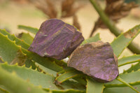 Natural Selected Rough Purpurite Specimens  x 7 From Uis, Namibia - TopRock