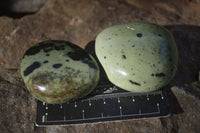 Polished Spotted Leopard Stone Gallets  x 12 From Zimbabwe