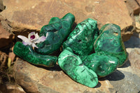 Polished Malachite Free Forms With Stunning Flower & Banding Patterns x 6 From Congo - TopRock