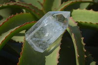 Polished Clear Quartz Crystal Points  x 6 From Madagascar