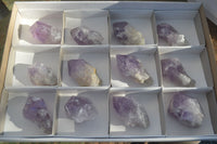 Natural Single Jacaranda Amethyst Crystals  x 12 From Mumbwe, Zambia - Toprock Gemstones and Minerals 