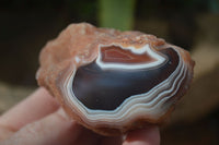 Polished Banded River Agate Nodules  x 6 From Sashe River, Zimbabwe - Toprock Gemstones and Minerals 