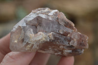 Natural Red Hematite Phantom Quartz Crystals  x 12 From Karoi, Zimbabwe - TopRock