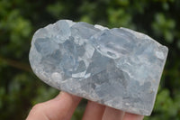 Polished Blue Celestite Standing Free Forms  x 2 From Sakoany, Madagascar - Toprock Gemstones and Minerals 