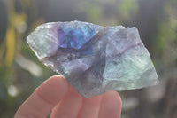 Polished Watermelon Fluorite Standing Slabs  x 6 From Uis, Namibia