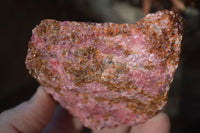 Natural Rough Red Rhodonite Specimens x 6 From Zimbabwe