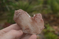 Natural Red Hematite Phantom Quartz Clusters  x 12 From Karoi, Zimbabwe - TopRock