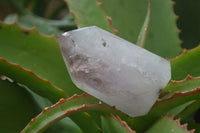 Polished Lovely Selection Of Window Amethyst Points  x 4 From Madagascar - Toprock Gemstones and Minerals 