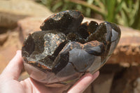 Polished Septaria Dragons Egg x 1 From Mahajanga, Madagascar - TopRock