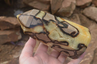 Polished Septaria (Yellow Calcite & Aragonite) Points x 2 From Mahajanga, Madagascar - TopRock