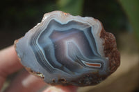 Polished Banded River Agate Nodules  x 6 From Sashe River, Zimbabwe - Toprock Gemstones and Minerals 