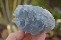 Natural Blue Celestite Crystal Specimens  x 6 From Madagascar - Toprock Gemstones and Minerals 