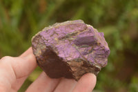 Natural Selected Rough Purpurite Specimens  x 7 From Uis, Namibia - TopRock