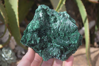 Natural Chatoyant Silky Malachite Specimens  x 2 From Kasompe, Congo