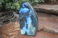 Polished Flashy Labradorite Standing Free Forms  x 3 From Madagascar - TopRock