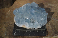 Natural Blue Celestite Crystal Specimens  x 3 From Sakoany, Madagascar - Toprock Gemstones and Minerals 