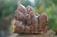 Natural Mixed Selection Of Quartz Specimens  x 6 From Southern Africa - Toprock Gemstones and Minerals 