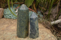 Polished Stromatolite / Kambamba Jasper Points  x 2 From Madagascar - TopRock