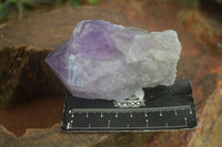 Natural Jacaranda Amethyst Clusters  x 6 From Mumbwa, Zambia - Toprock Gemstones and Minerals 