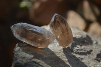 Natural Clear Smokey Quartz Crystals  x 20 From Southern Africa