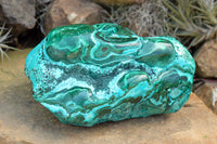 Polished Beautiful Extra Large Malacholla (Chrysocolla & Malachite) Free Form  x 1 From Congo - TopRock