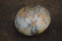 Polished Dendritic Opal Palm Stones  x 12 From Madagascar - Toprock Gemstones and Minerals 