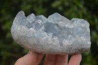 Polished Blue Celestite Standing Free Forms  x 2 From Sakoany, Madagascar - Toprock Gemstones and Minerals 