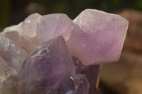 Natural Jacaranda Amethyst Clusters x 2 From Zambia