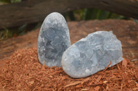 Polished Blue Celestite Standing Free Forms  x 2 From Sakoany, Madagascar - Toprock Gemstones and Minerals 