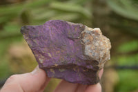 Natural Rough Purpurite Cobbed Specimens  x 6 From Namibia - TopRock