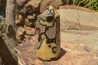 Polished Septaria (Yellow Calcite & Aragonite) Points x 2 From Mahajanga, Madagascar - TopRock