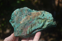 Natural Rough Chrysocolla Specimens  x 6 From Kaokoveld, Namibia - Toprock Gemstones and Minerals 