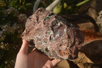 Natural Drusy Coated Ball Malachite On Dolomite Specimen x 1 From Southern Africa