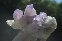 Natural Jacaranda Amethyst Clusters x 2 From Mumbwa, Zambia - TopRock